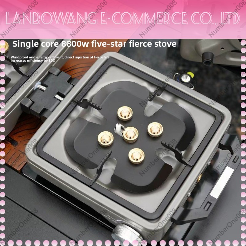 Outdoor Dual Burner High Power - огляд і ціна Camping Cooking Hob